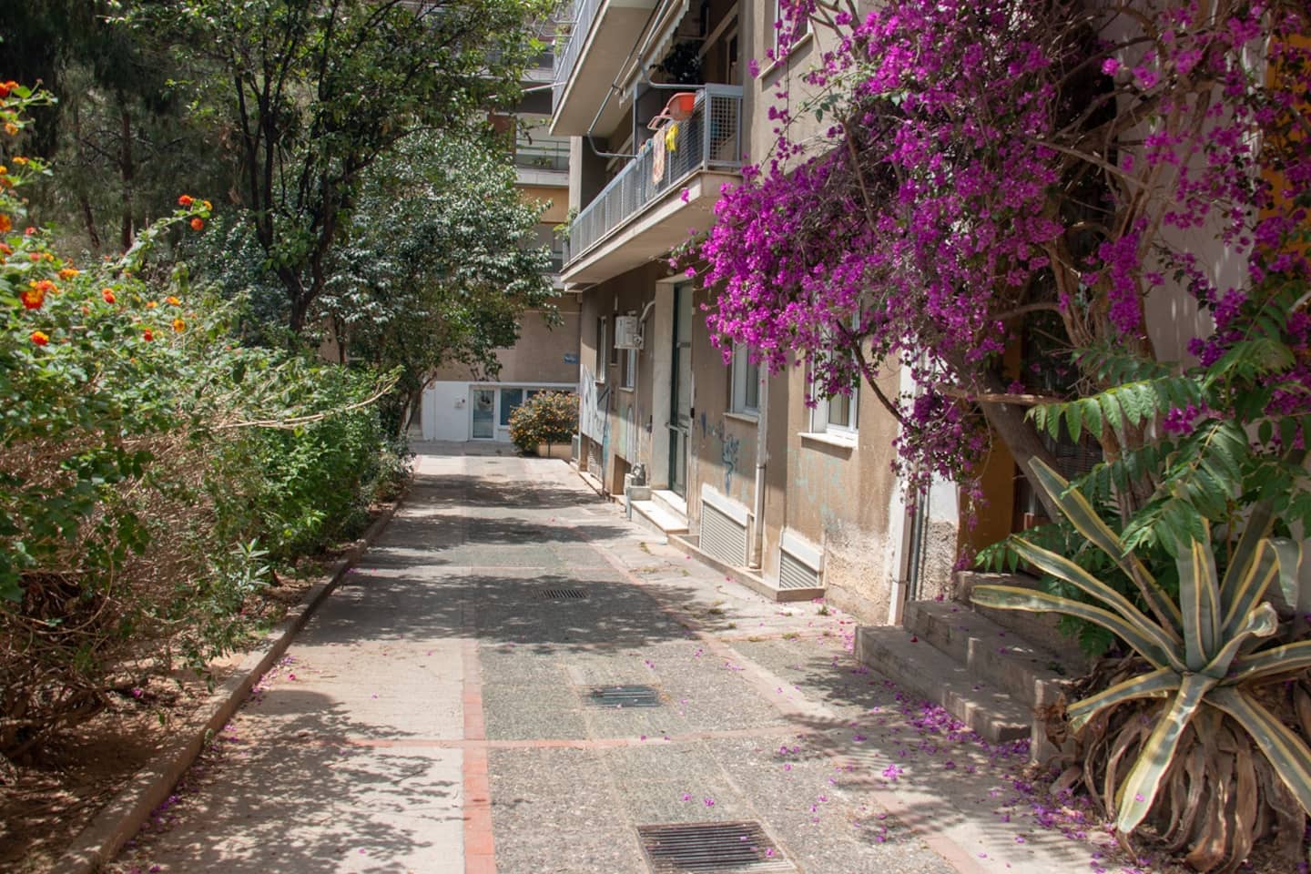 Bright Apt | Quiet | Near Metro | Fast WiFi photo 26
