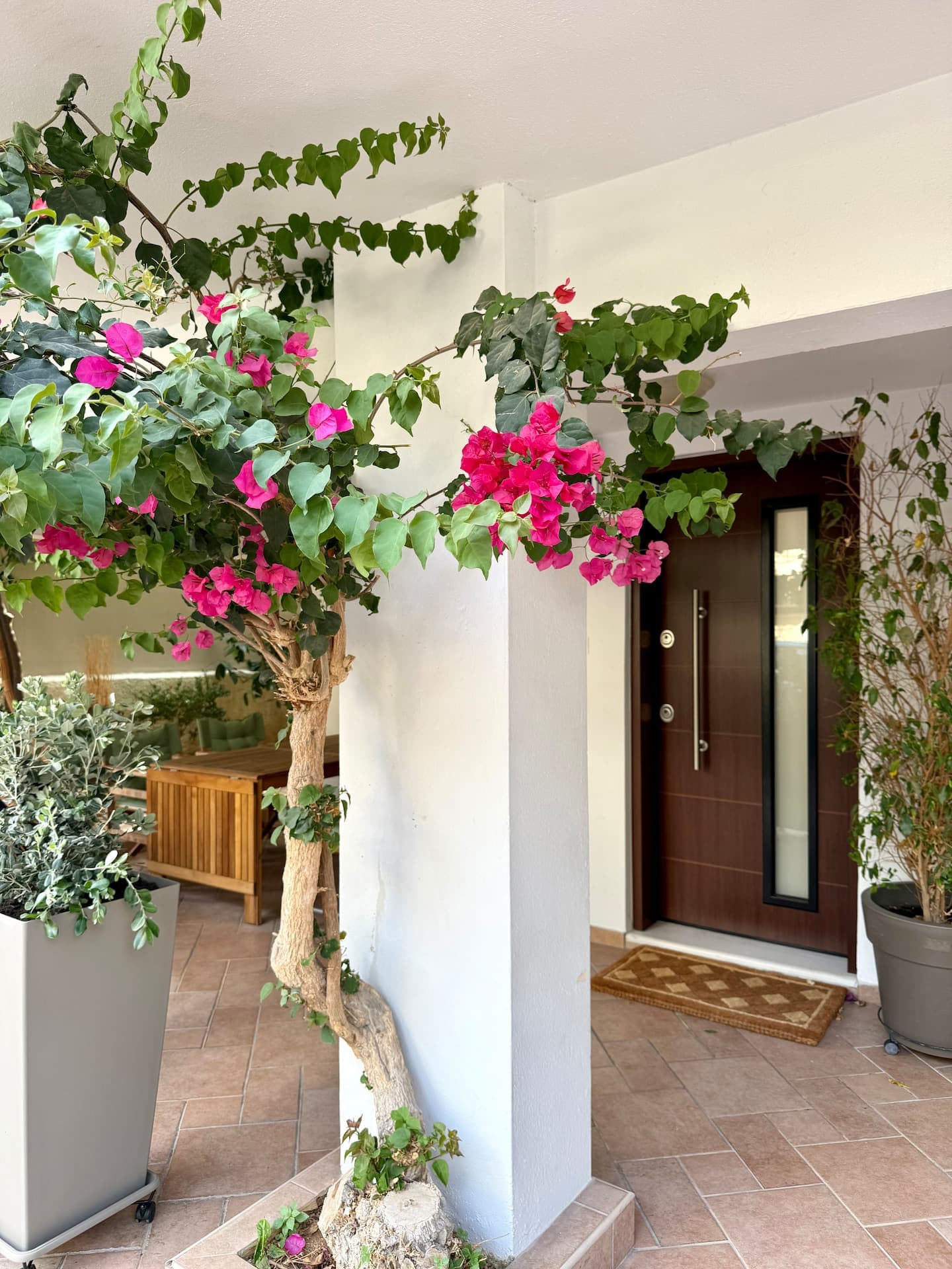 Celine Luxury Apartment & Garden photo 33